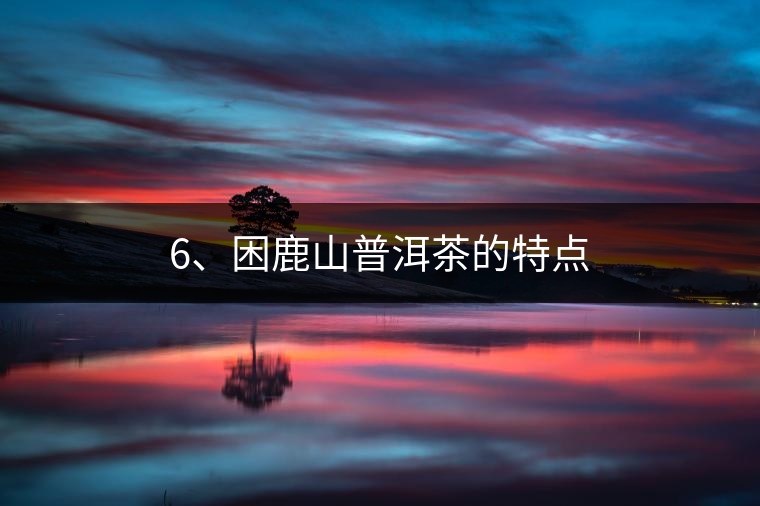 6、困鹿山普洱茶的特點(diǎn)