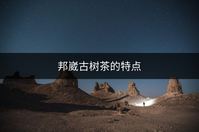 邦崴古樹茶的特點(diǎn)