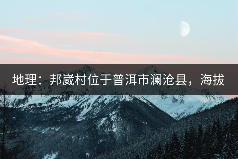 地理：邦崴村位于普洱市瀾滄縣，海拔1800-2000多米，這里的古樹茶被原始森林環(huán)抱，遠(yuǎn)離塵囂污染，沒有農(nóng)藥化肥。