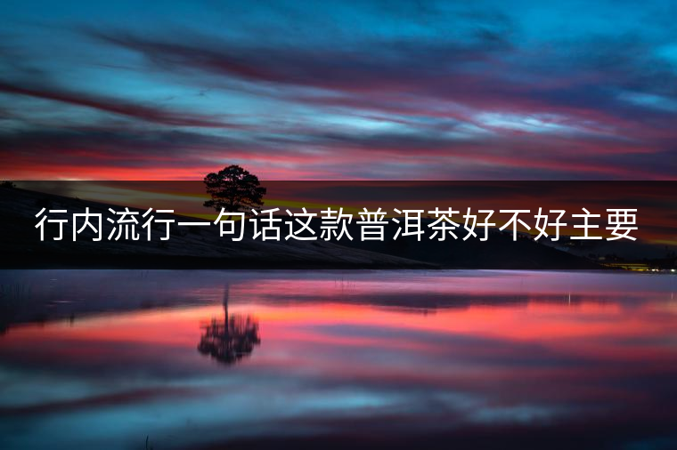 行內(nèi)流行一句話這款普洱茶好不好主要還看尾水，雖然比較片面但是也有一定道理。