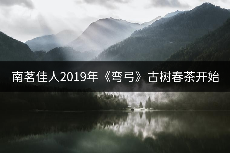 南茗佳人2019年《彎弓》古樹春茶開始預(yù)售啦！