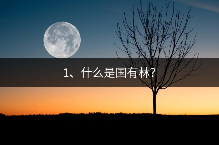 1、什么是國有林？