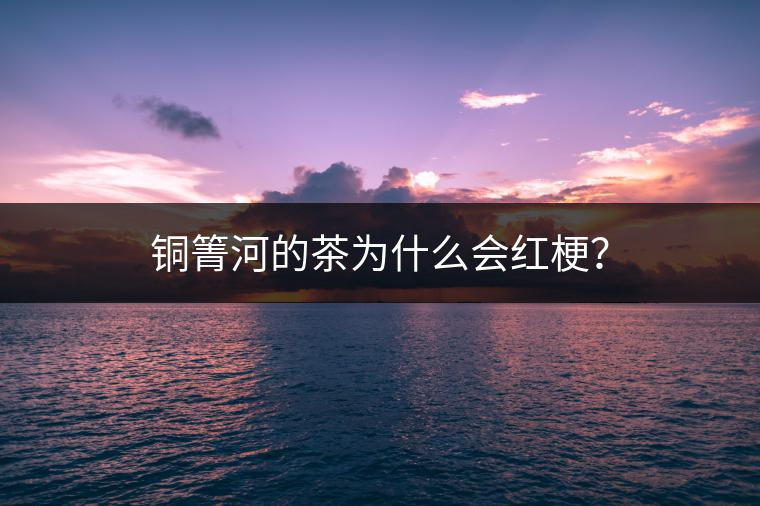 銅箐河的茶為什么會紅梗？