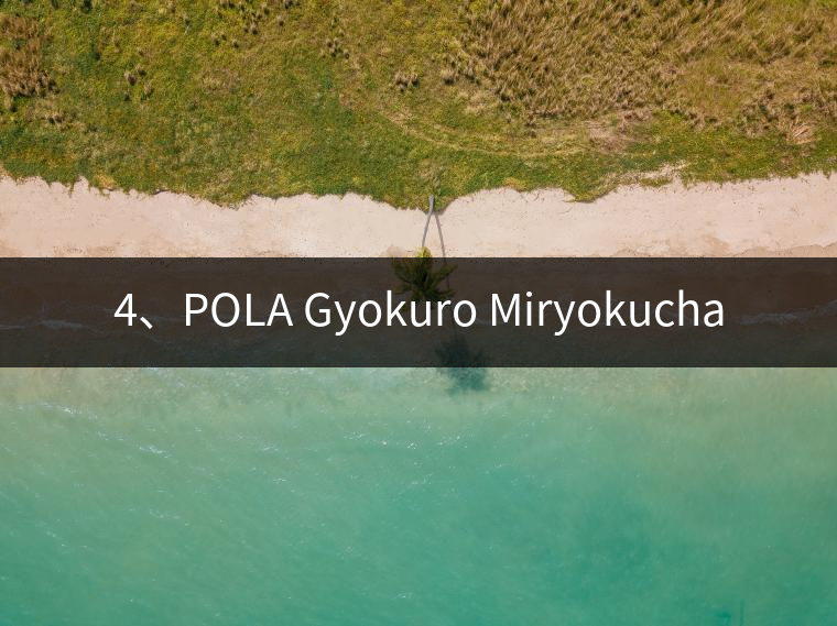 4、POLA Gyokuro Miryokucha