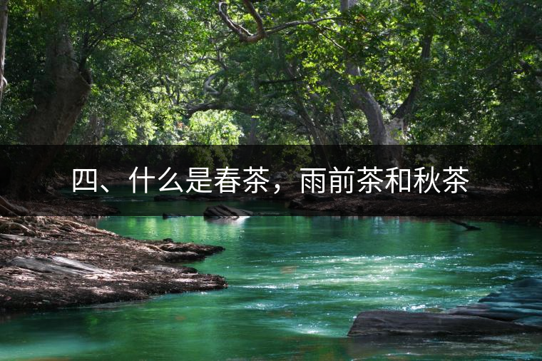 四、什么是春茶，雨前茶和秋茶