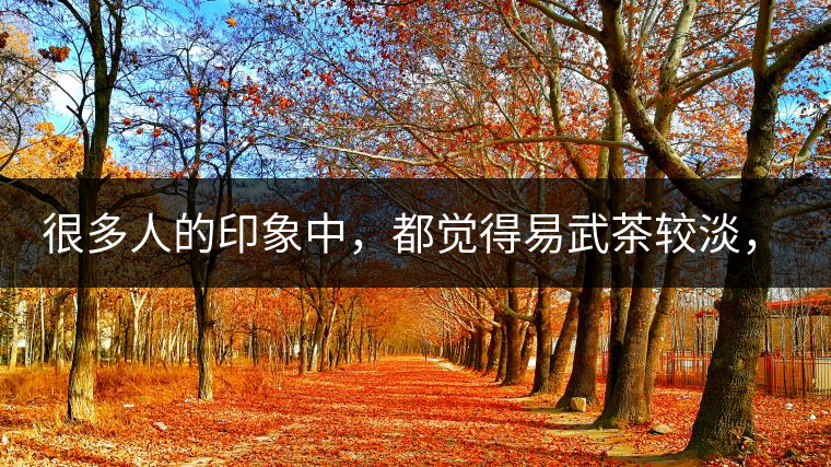 很多人的印象中，都覺得易武茶較淡，但存放幾年后，再喝又覺得茶味茶氣變濃了。我們就這個(gè)問(wèn)題，考察了易武古茶山，和走訪了當(dāng)?shù)夭柁r(nóng)。我們發(fā)現(xiàn)這跟易武古樹茶的茶質(zhì)和茶農(nóng)制茶的傳統(tǒng)工藝有關(guān)。