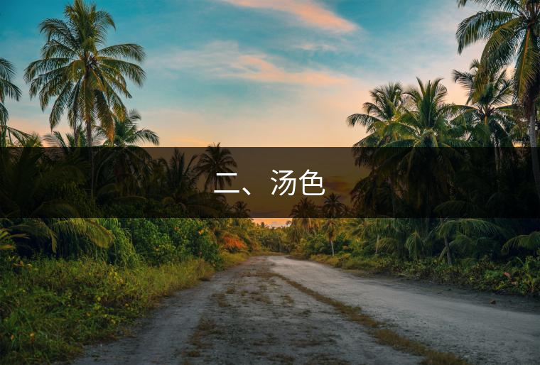 二、湯色