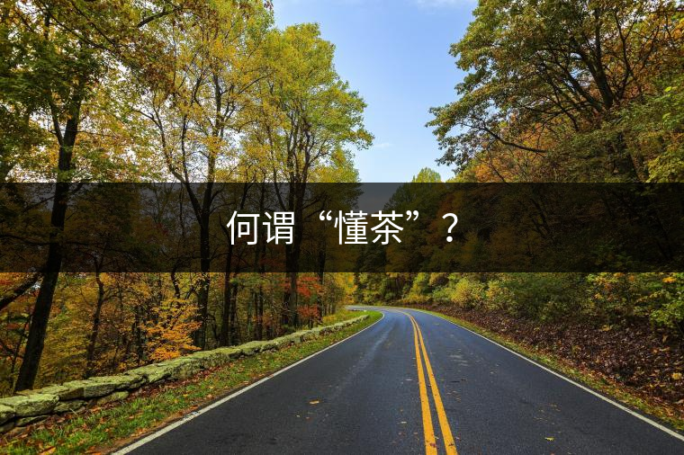 何謂“懂茶”？