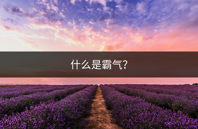 什么是霸氣？