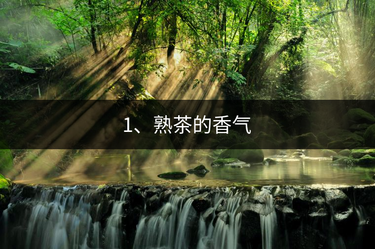 1、熟茶的香氣