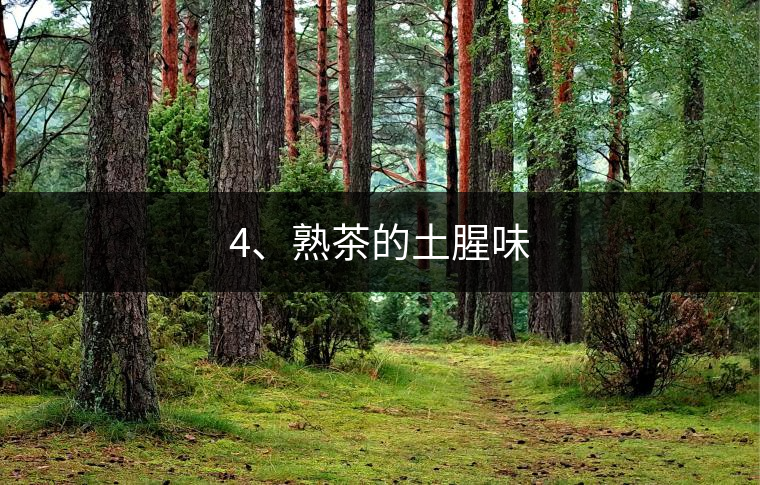 4、熟茶的土腥味
