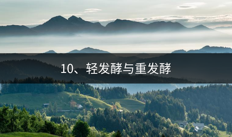 10、輕發(fā)酵與重發(fā)酵