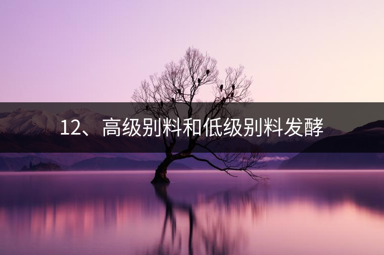 12、高級別料和低級別料發(fā)酵