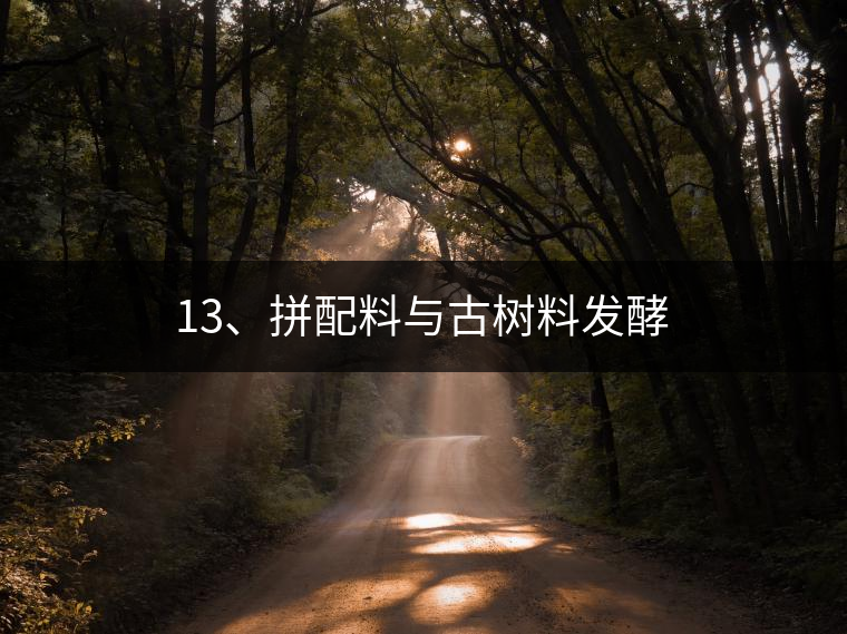 13、拼配料與古樹料發(fā)酵