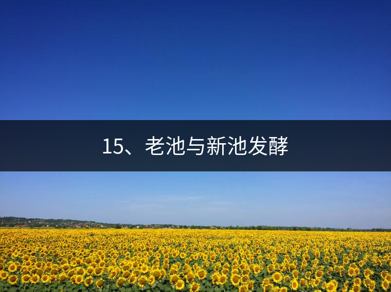 15、老池與新池發(fā)酵