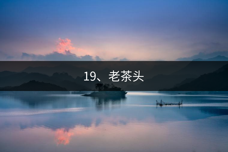 19、老茶頭