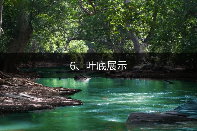 6、葉底展示