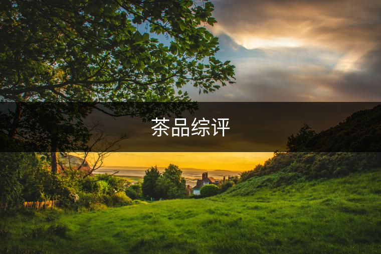 茶品綜評(píng) 茶品綜評(píng)