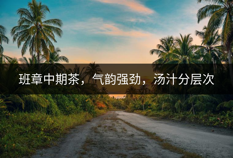 班章中期茶，氣韻強(qiáng)勁，湯汁分層次