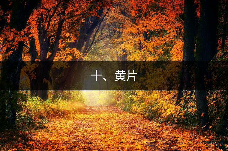 十、黃片