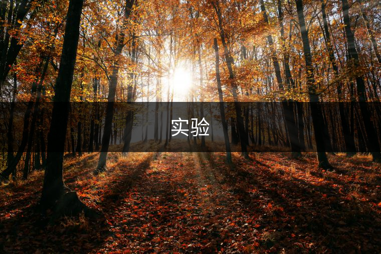 實驗 實驗
