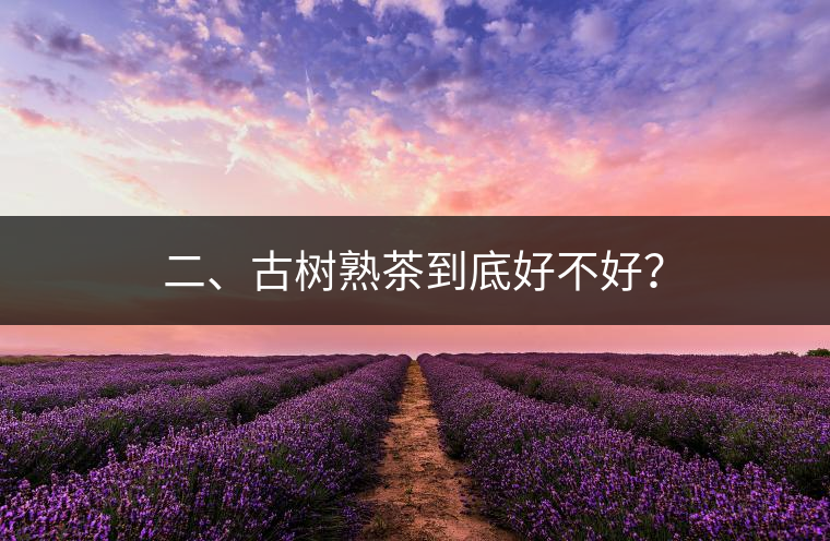 二、古樹(shù)熟茶到底好不好？