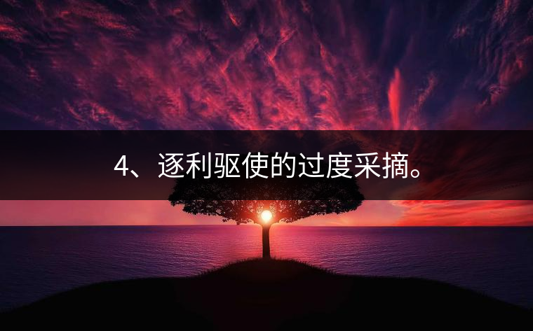 4、逐利驅(qū)使的過度采摘。