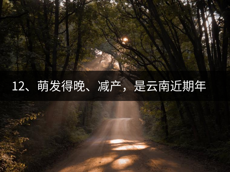 12、萌發(fā)得晚、減產(chǎn)，是云南近期年氣候變化在茶樹上的延遲反映。