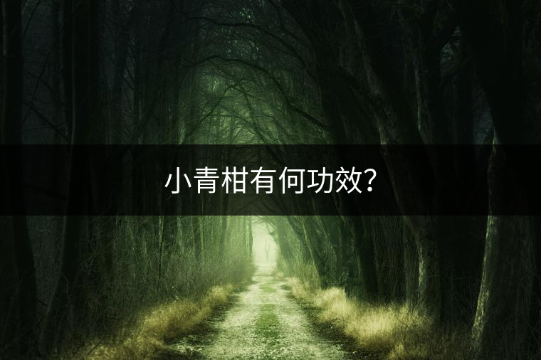 小青柑有何功效？