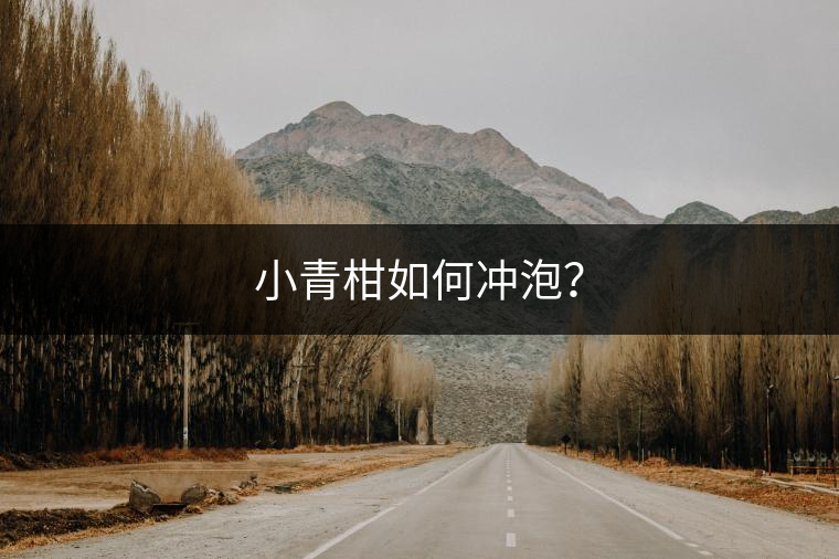 小青柑如何沖泡？
