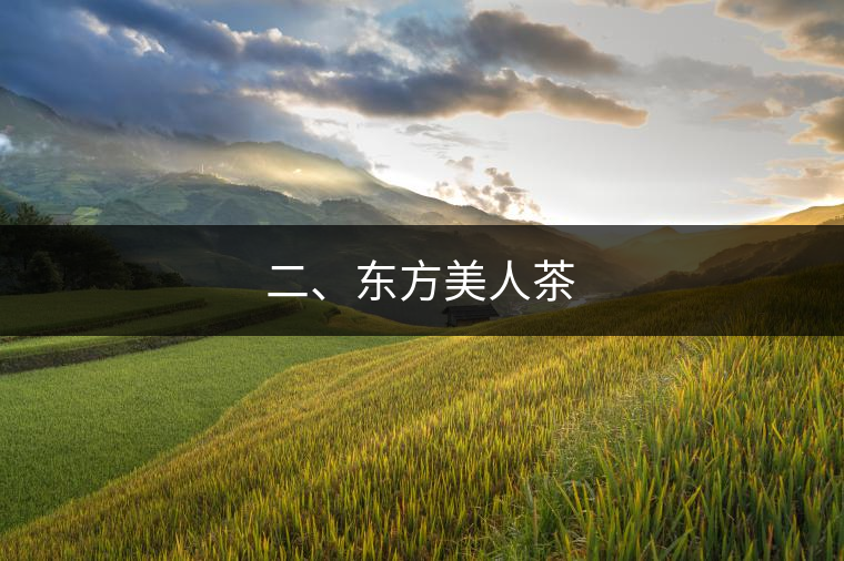 二、東方美人茶