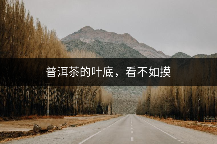 普洱茶的葉底，看不如摸