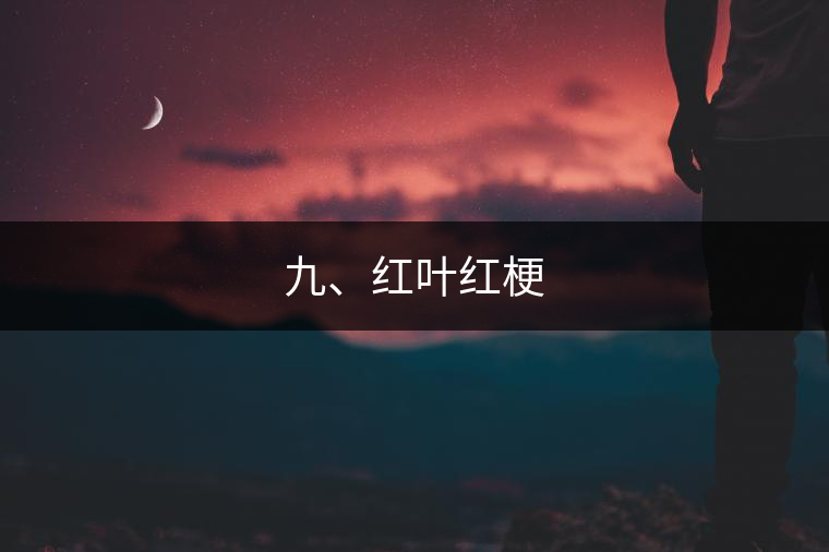 九、紅葉紅梗