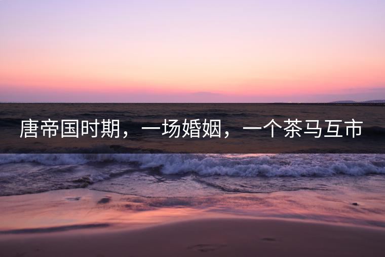 唐帝國時期，一場婚姻，一個茶馬互市，讓這里結(jié)束了漢藏對峙。宋代南茶北，西北茶馬司設(shè)立，因茶而改變的生活日益凸顯。元代八思巴與忽必烈在這一區(qū)域結(jié)盟，為蒙藏兩大民族交往鋪好通衢大道，明代俺答汗與達賴在山海之間追思各自先人，青海人宗喀巴創(chuàng)建的黃教通過蒙、藏兩大領(lǐng)袖的推廣，締造了影響至今的格局。大清經(jīng)過康、雍、乾三代勵精圖治，滿、藏、蒙各自龐大的疆域第一次完整地統(tǒng)轄在中央帝國的版圖下。