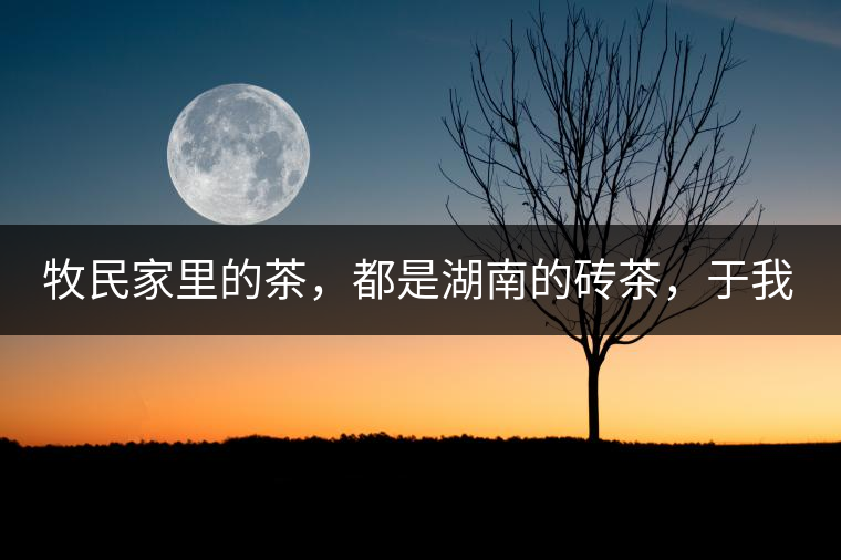 牧民家里的茶，都是湖南的磚茶，于我們而言不見得有多好，它們粗糙得看可見茶梗和樹枝，但于他們來說，卻是每日的生活必需品。端到桌上的茶碗，也是缺了口鋦過青花瓷碗，聞得見修補后的手溫，喝下加過鹽巴的磚茶，一身暖意，融化了深藏在發(fā)底的冰屑，溫暖著身心。