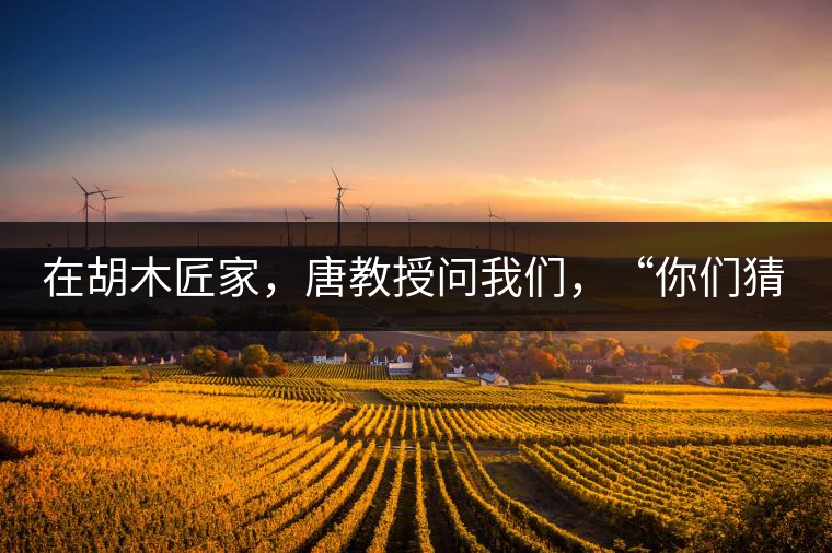 在胡木匠家，唐教授問我們，“你們猜猜他們家的茶放在哪里？”我們回答廚房、客廳都不對，“難道像寺院一樣，有專門的茶房不成？”教授和木匠都哈哈大笑，連連搖頭。在木匠的帶領(lǐng)下，我們來到主人的臥室，茶磚整齊有序地堆放在床頭柜里。一家之主的臥室，既是休息之所，亦是一家財富與傳家寶的收藏地。茶之精貴，毋需多言。