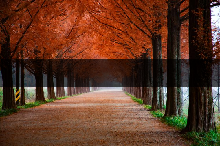 這樣的茶葉邊疆文化，也許是明代大學(xué)者解縉最樂意見到的。他曾說，中原最好的東西就是茶，而番人最好的就是馬。他贊同明廷茶馬互市的國策：茶之于夷人，如同中國之酒醴，因為茶馬貿(mào)易，許多夷人也開始學(xué)習(xí)中國的知識，對中國也有了向慕之心，那么茶的作用就很顯然，茶有著“夷夏之交，義利之辨，寅賓尚忠信而篤敬，河州固唐虞三代之邦也?！?茶不僅僅是一種飲品，還有其他。茶作為媒介，體現(xiàn)了觀念的變化。如今，隨著茶的傳播，各族人民有了更深入往來，通過貿(mào)易、文化、旅游等等。
陳渠珍從西藏抵達湟源區(qū)域時，也為這里的古風(fēng)所震驚：“余皆漢番雜處。風(fēng)俗婦女尚餞足，裙下蓮步不及三寸，服飾既古，文化尤卑，鄰居為私塾，當(dāng)見一生久讀不能成誦，塾師罰之跪，以草圈罩頭上，頻加籌石，令其跪誦。余見駭然。”

?
（摘自《海峽茶道》，2013年5期）