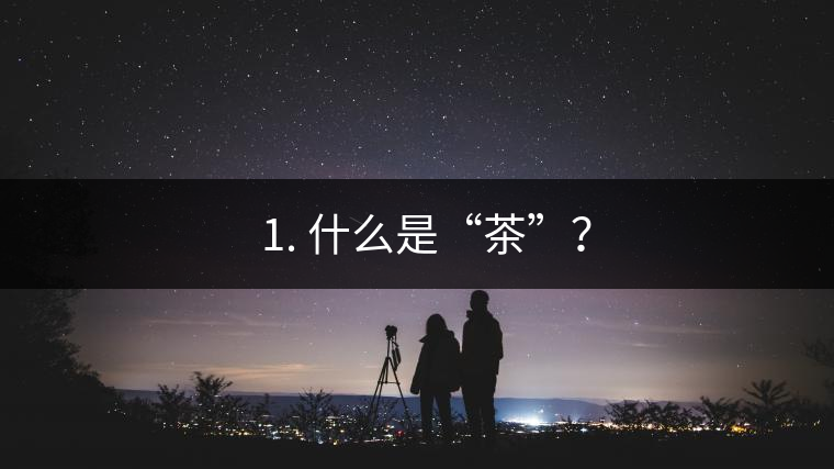 ? 1. 什么是“茶”？