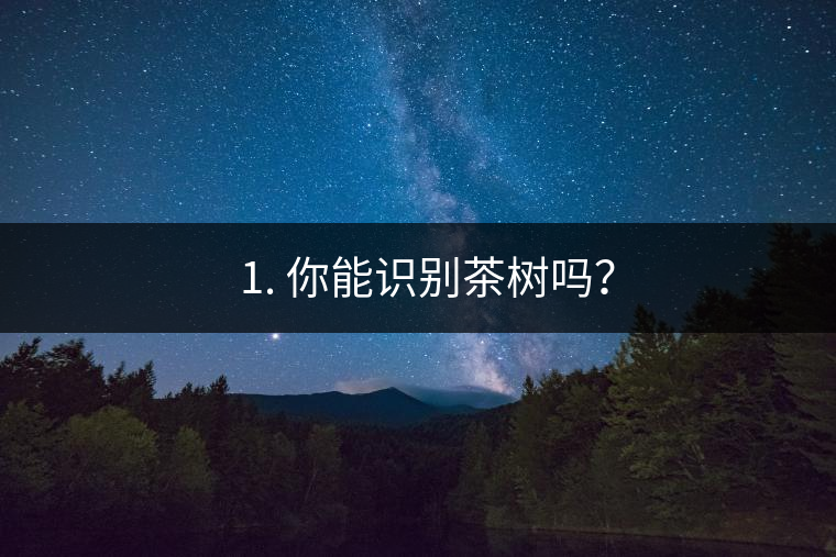 ??1. 你能識(shí)別茶樹(shù)嗎？