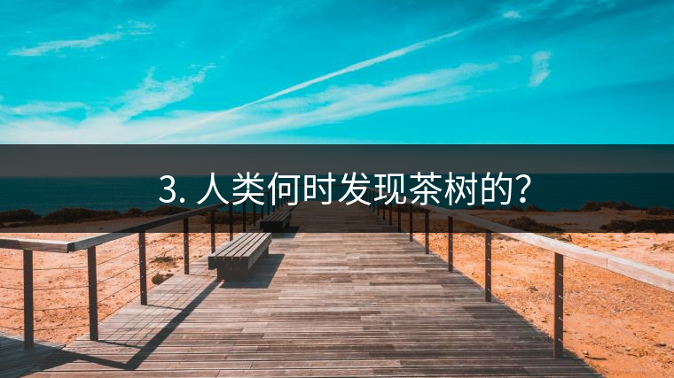? 3. 人類何時(shí)發(fā)現(xiàn)茶樹(shù)的？