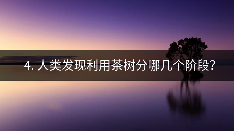 ? 4. 人類發(fā)現(xiàn)利用茶樹(shù)分哪幾個(gè)階段？