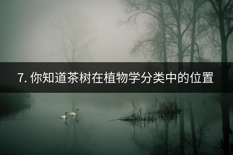 ??7. 你知道茶樹(shù)在植物學(xué)分類中的位置嗎？