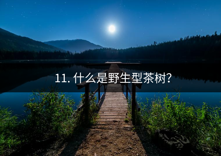 ? 11. 什么是野生型茶樹(shù)？