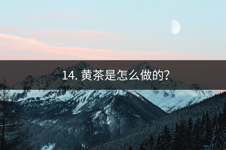 ? 14. 黃茶是怎么做的？