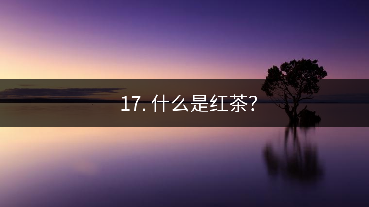 ? 17. 什么是紅茶？