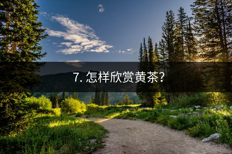 ? 7. 怎樣欣賞黃茶？