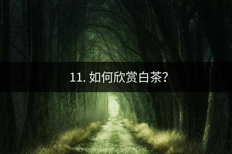 ??11. 如何欣賞白茶？