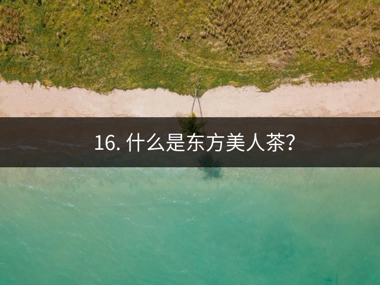 ? 16. 什么是東方美人茶？