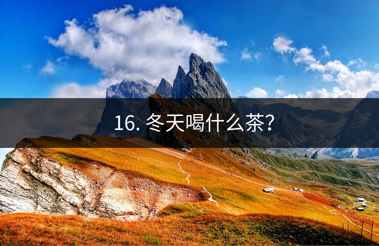? 16. 冬天喝什么茶？
