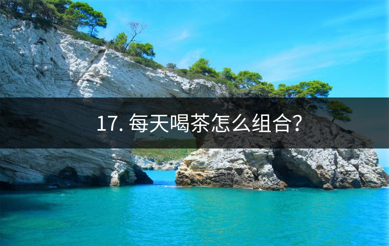 ? 17. 每天喝茶怎么組合？